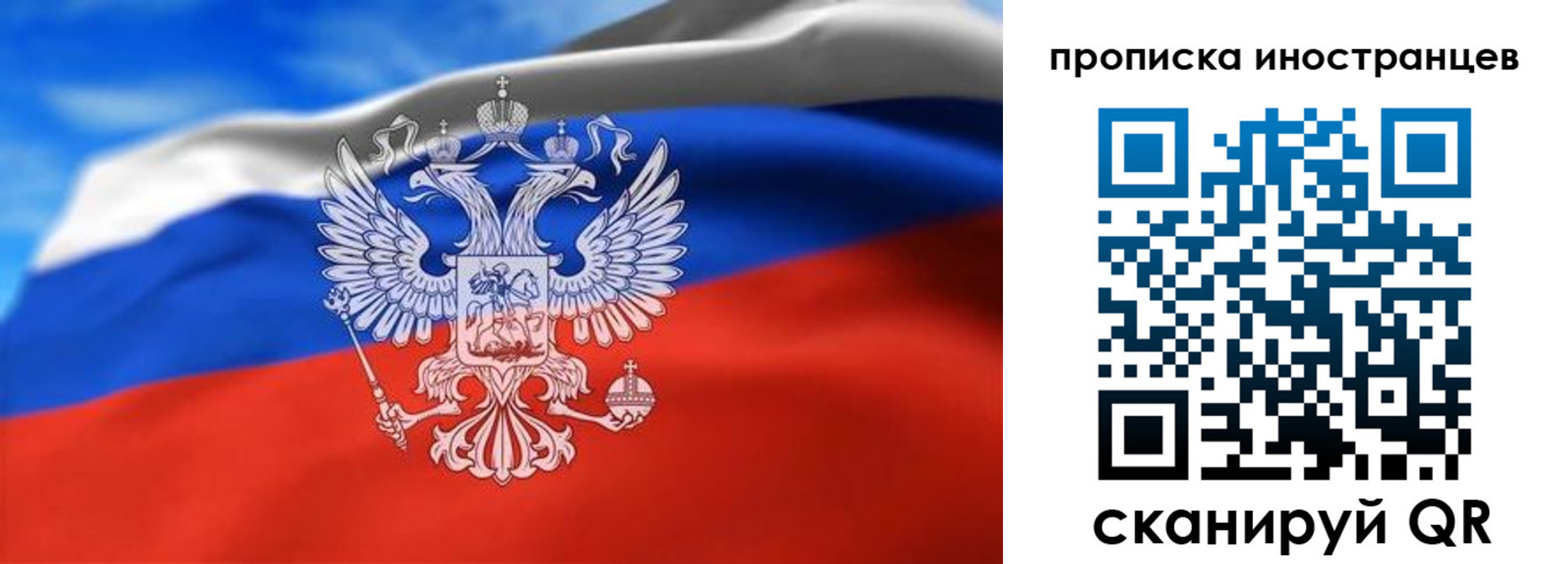 прописка паспорт в Пионерском
